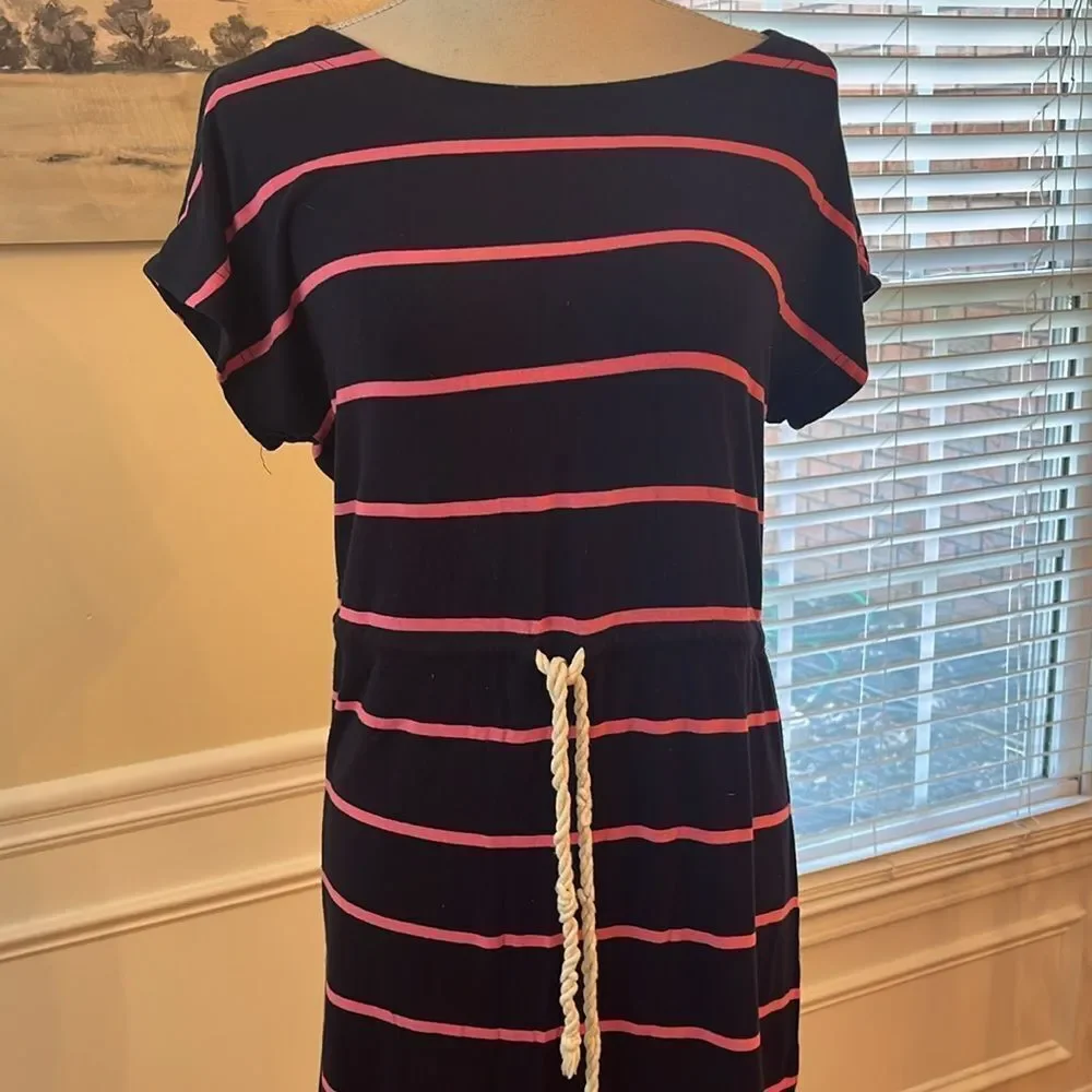 J. Crew Navy Dress with Pink Stripes